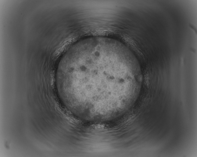 X0000100850687200807181057