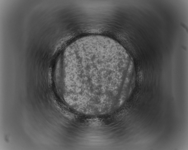 X0000100850688200807181057