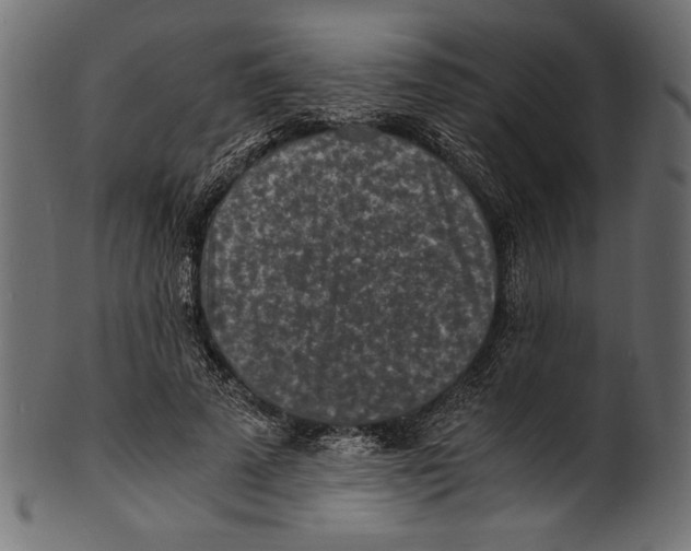 X0000100850689200807181057