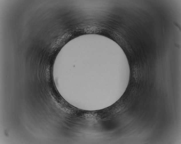 X0000100850690200807181057
