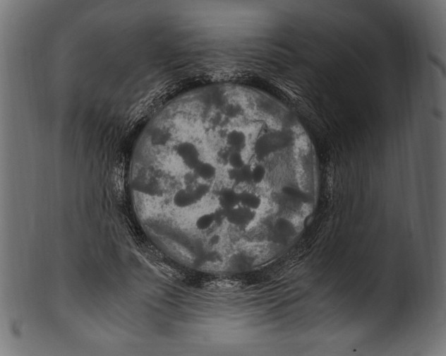 X0000100850691200807181057