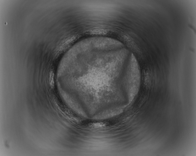 X0000100850692200807181057