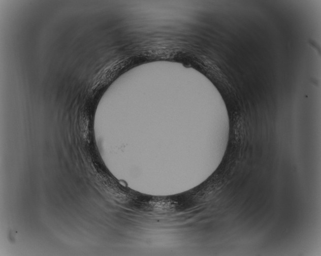 X0000100850693200807181057