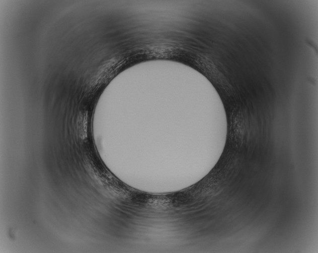 X0000100850694200807181057