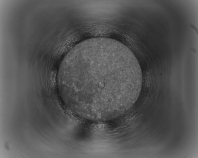 X0000100850695200807181057