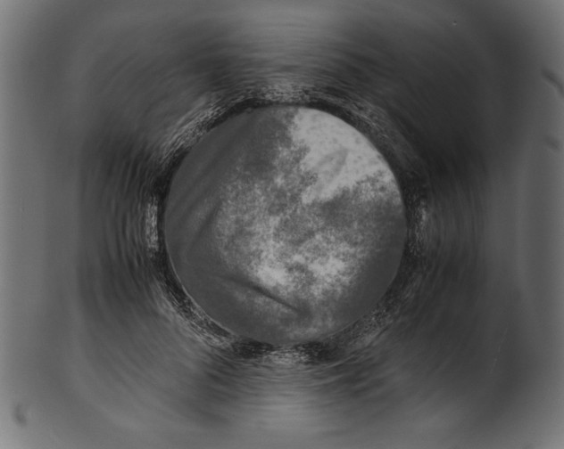 X0000100850696200807181057