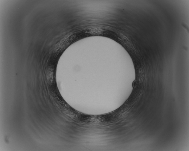 X0000100850697200807181057