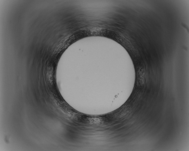 X0000100850698200807181056