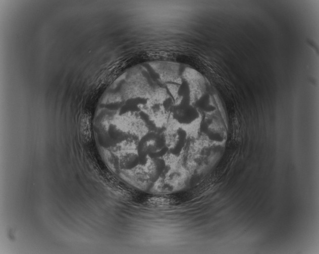 X0000100850699200807181056