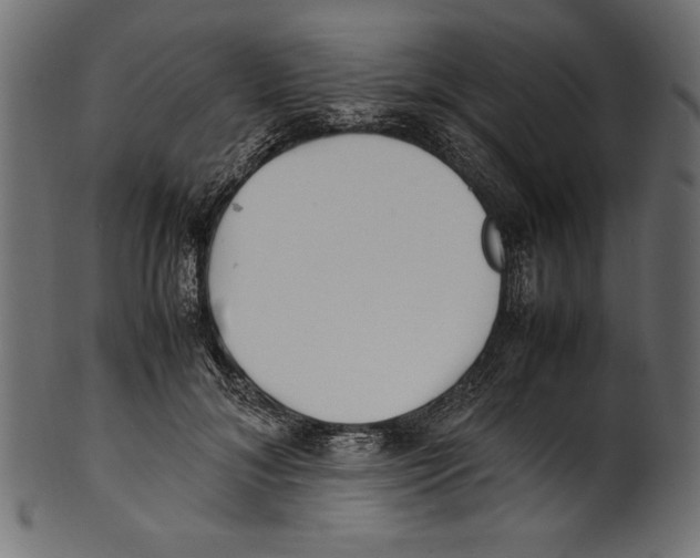 X0000100850700200807181056