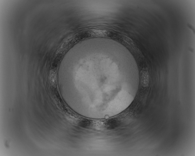 X0000100850701200807181056