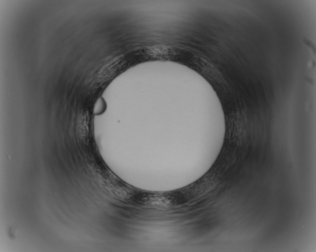 X0000100850702200807181056