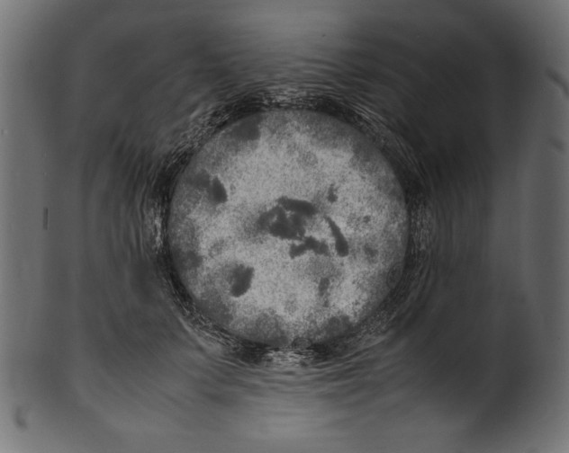 X0000100850703200807181056