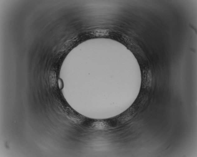 X0000100850704200807181056