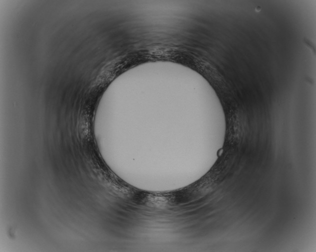 X0000100850706200807181056
