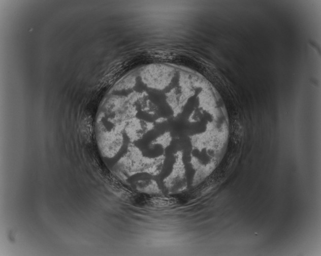 X0000100850707200807181056