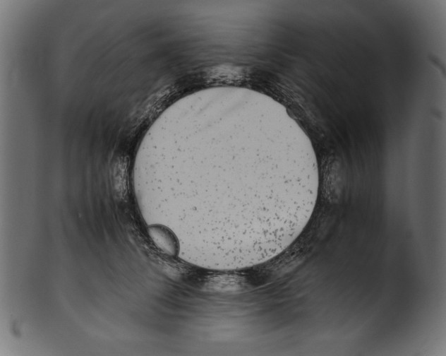 X0000100850708200807181056