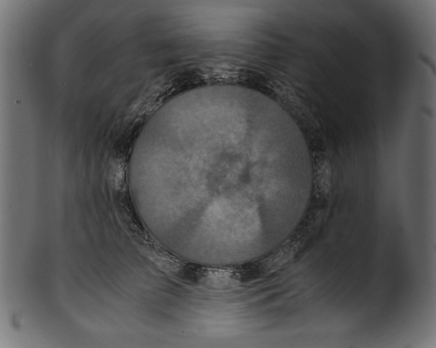 X0000100850709200807181056