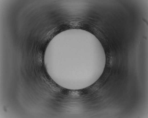 X0000100850710200807181056