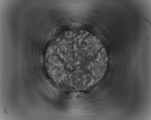 X0000100850711200807181056