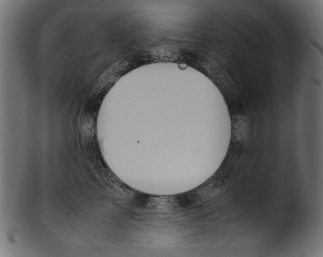 X0000100850713200807181056