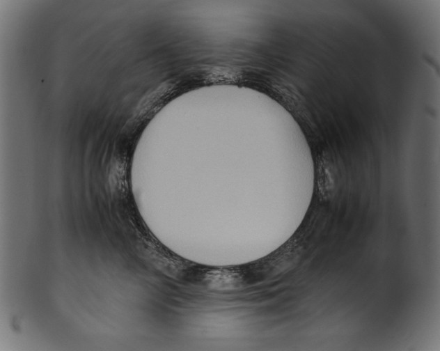 X0000100850714200807181056