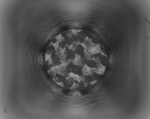 X0000100850715200807181056