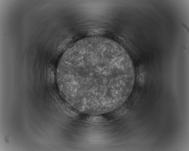 X0000100850716200807181056