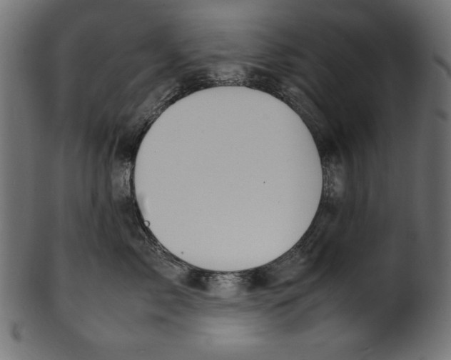 X0000100850717200807181056