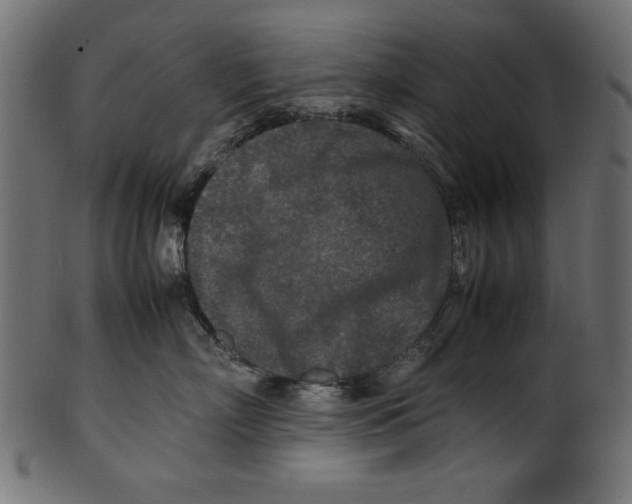 X0000100850718200807181056