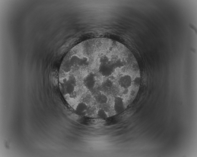 X0000100850719200807181056