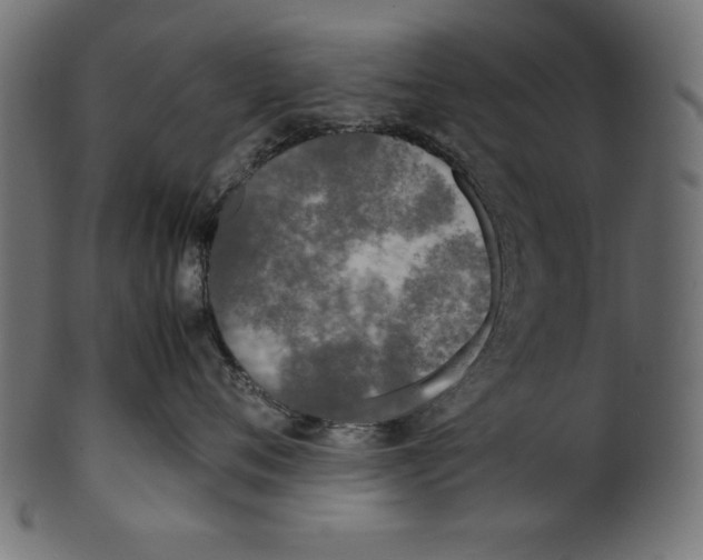 X0000100850720200807181056