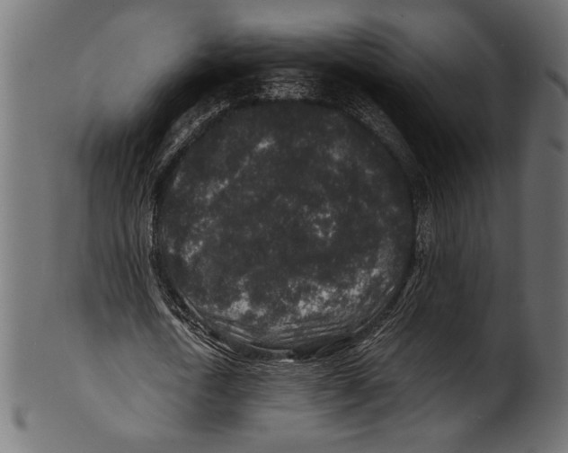 X0000100850722200807181055