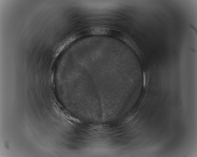 X0000100850723200807181055
