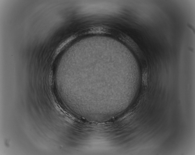 X0000100850724200807181055