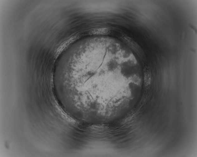 X0000100850725200807181056