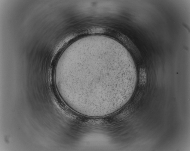 X0000100850726200807181056