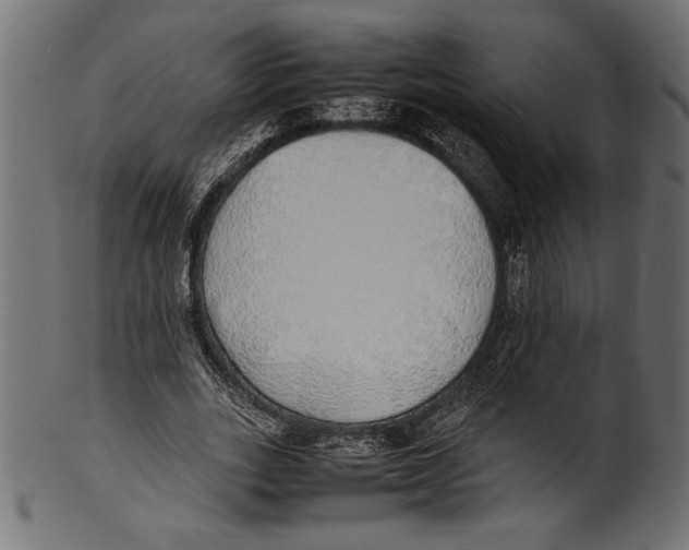 X0000100850727200807181056
