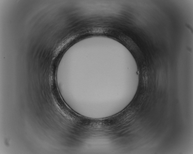 X0000100850728200807181056