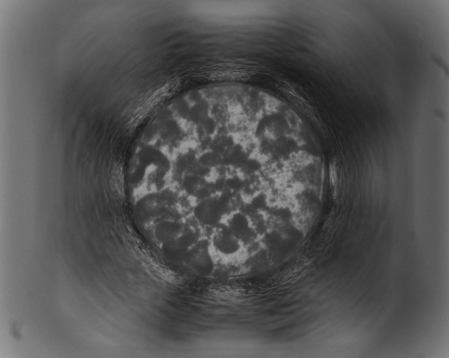 X0000100850729200807181056