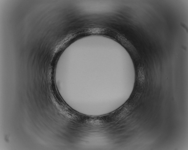 X0000100850730200807181056