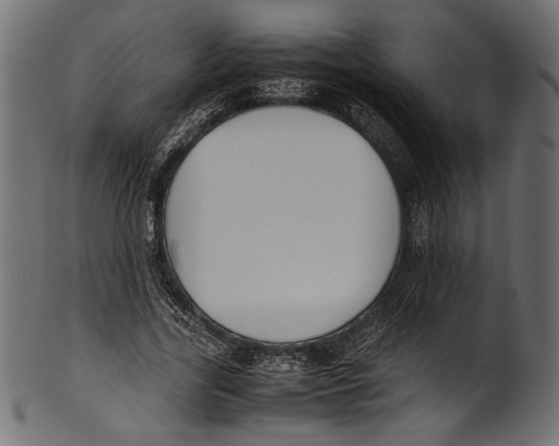 X0000100850731200807181056