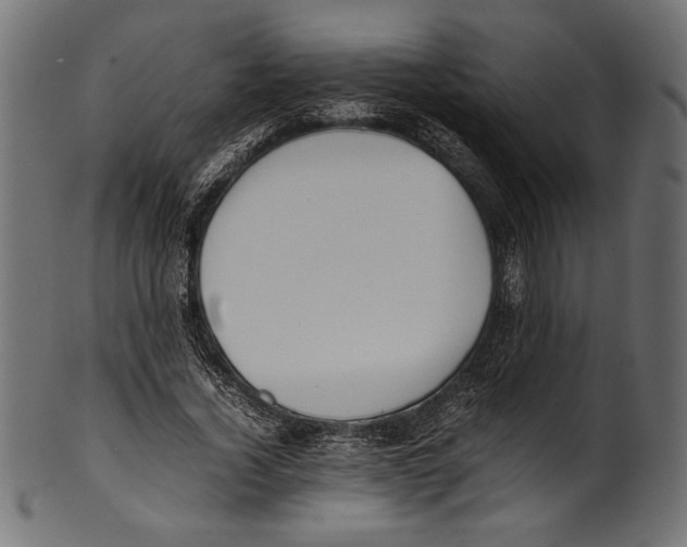 X0000100850732200807181056