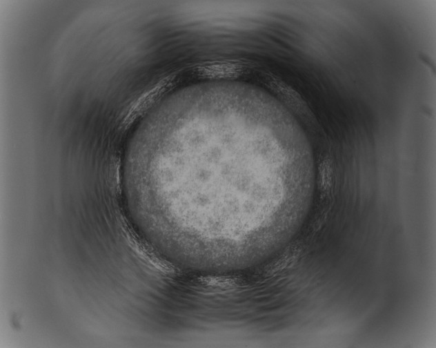 X0000100850733200807181056