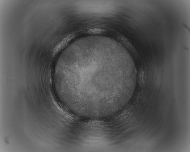 X0000100850734200807181056