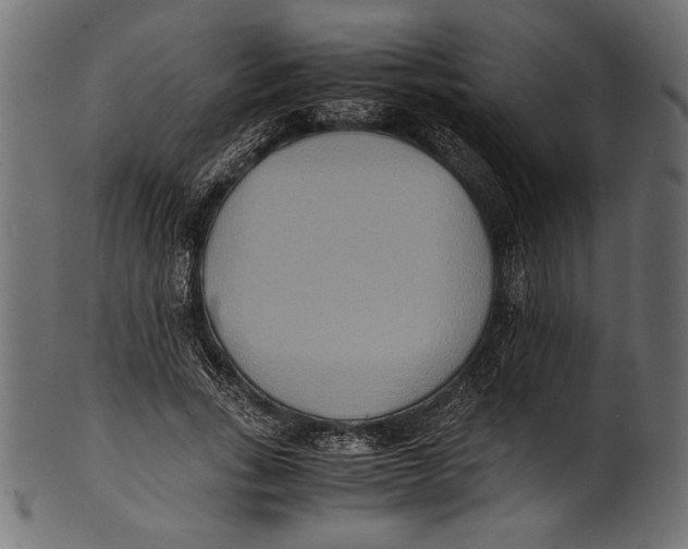 X0000100850735200807181056