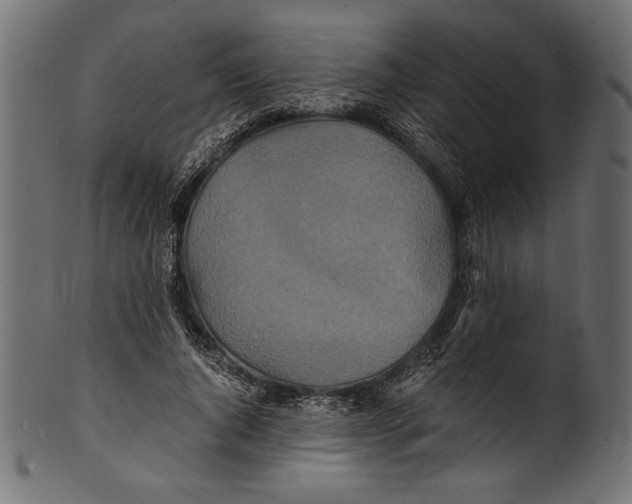 X0000100850736200807181056