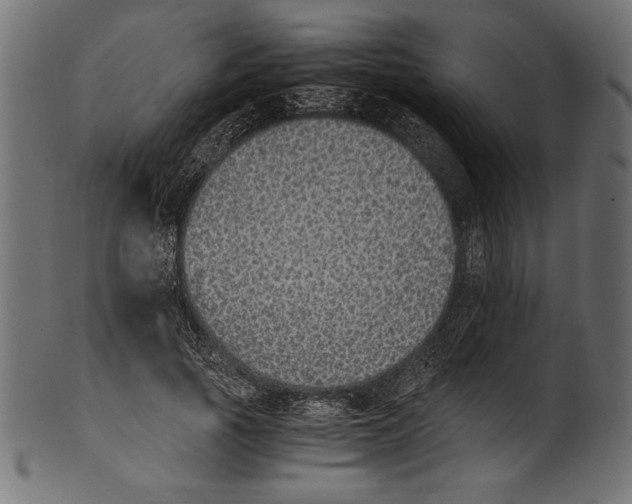 X0000100850737200807181056