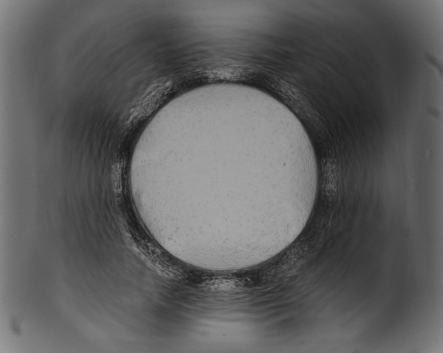 X0000100850738200807181056