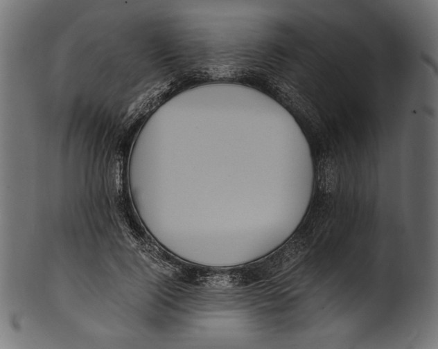 X0000100850740200807181056